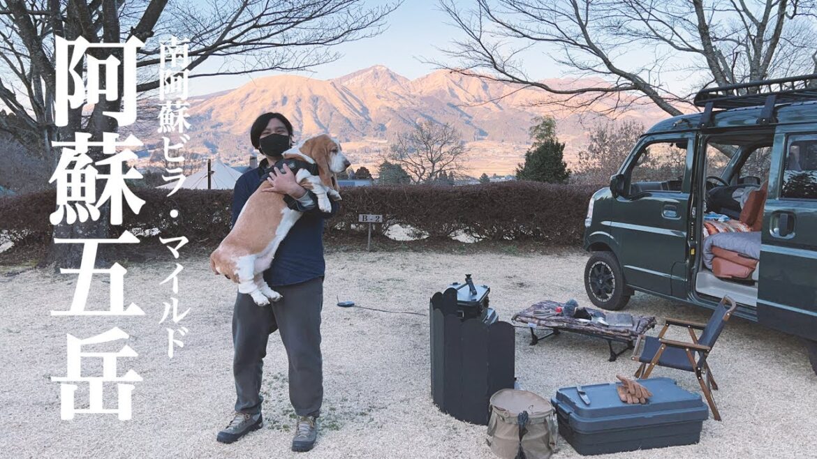 家のゆる担当と阿蘇五岳が綺麗に見渡せる南阿蘇ビラ・マイルドで車中泊キャンプ #九州 #熊本 #阿蘇 #ソロキャンプ #犬連れキャンプ #犬連れ車中泊 #いぬ #バセットハウンド