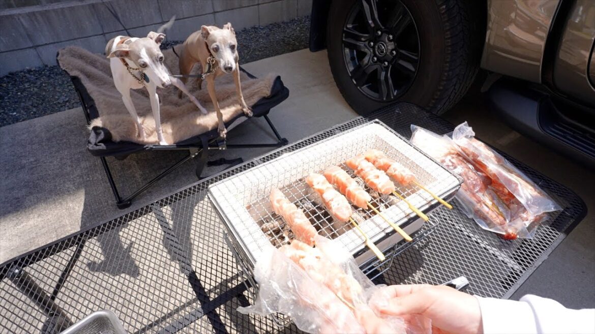 愛犬と焼き鳥ぱーちー開催したら食欲が爆発したwww 愛犬と焼き鳥ぱーちー開催したら食欲が爆発したwww