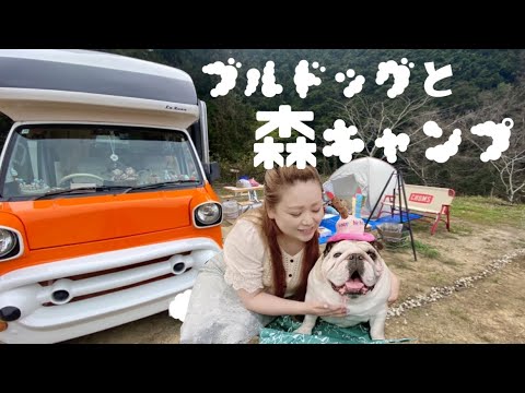 キャンピングカーで行く森キャンプが楽しすぎてとんでもない行動に出るブルドッグじぇしか!焚き火を楽しむ愛犬との家族キャンプ【ブルドッグ】【犬連れキャンプ】【campsite麓】【千早赤阪村】 キャンピングカーで行く森キャンプが楽しすぎてとんでもない行動に出るブルドッグじぇしか!焚き火を楽しむ愛犬との家族キャンプ【ブルドッグ】【犬連れキャンプ】【campsite麓】【千早赤阪村】