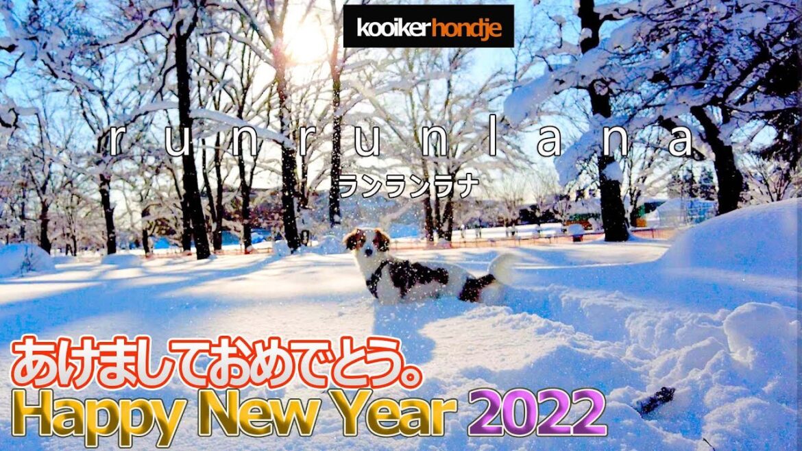 #28  2022あけましておめでとう新年雪遊び！コーイケルホンディエ