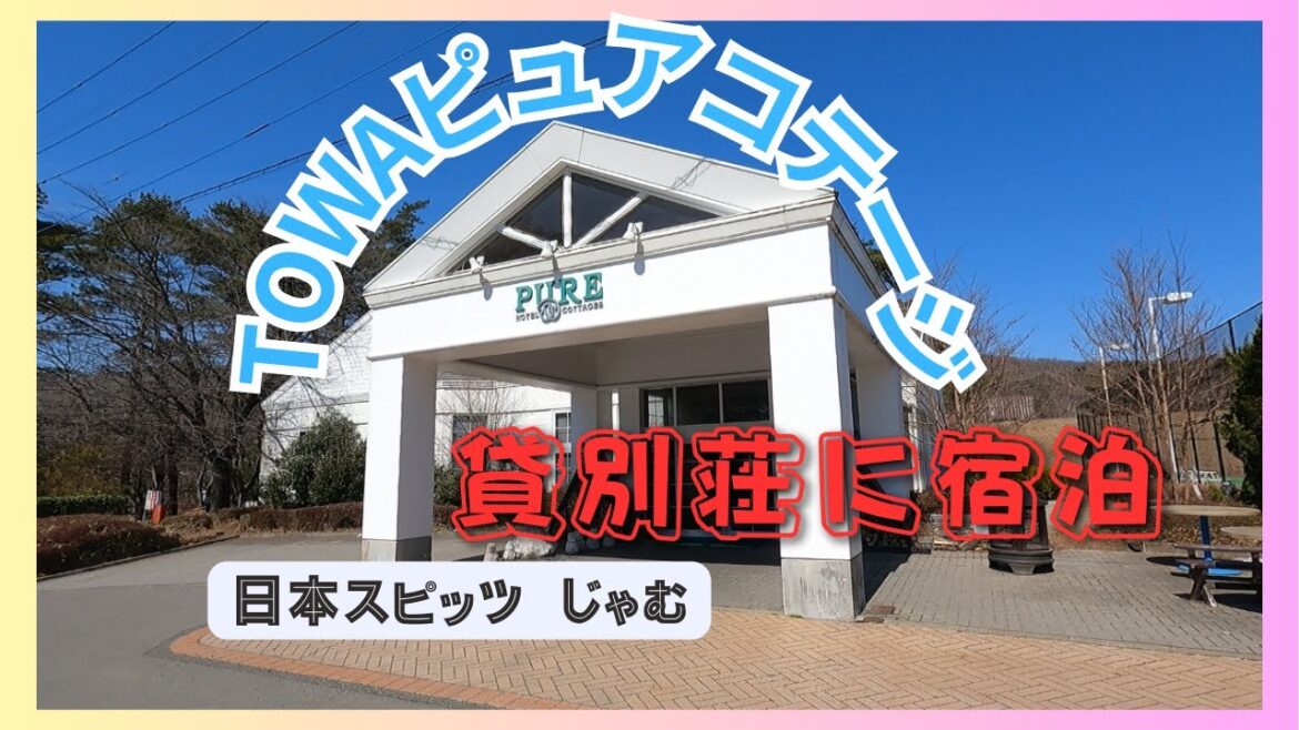 TOWAピュアコテージで宿泊したよ#日本スピッツ#那須 TOWAピュアコテージで宿泊したよ#日本スピッツ#那須