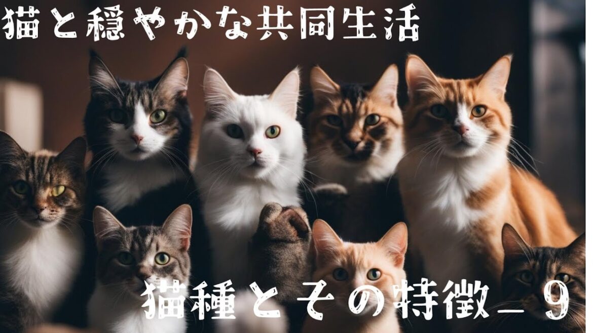 世界の猫の種類と特徴#9