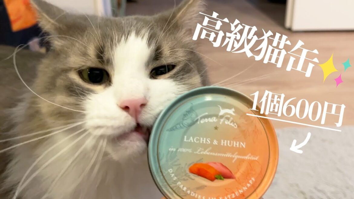 ドイツの高級猫缶【テラフェリス】を購入してみました！ ノルウェージャンフォレストキャット