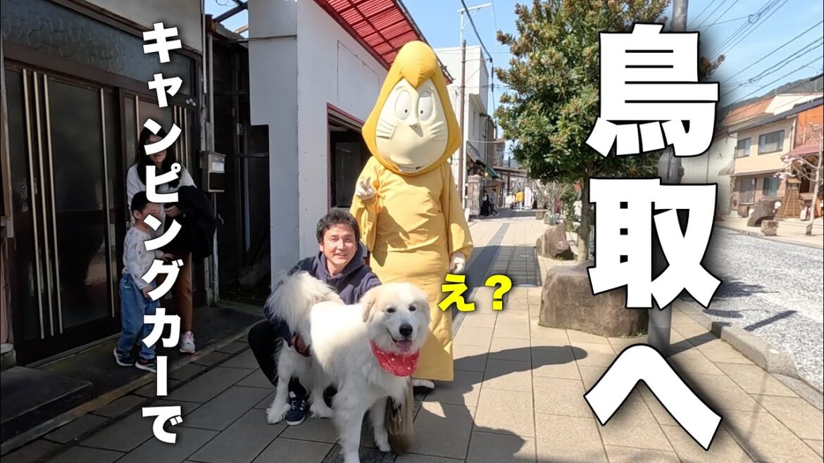 【車中泊】キャンピングカーで超大型犬と鳥取に行きました！