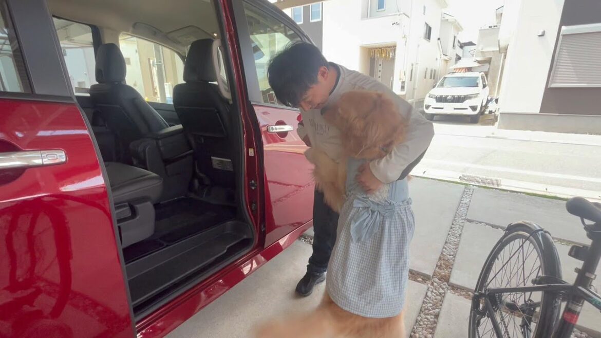 【日産セレナ】自動で開くスライドドアにビックリして飼主に助けを求める愛犬が可愛すぎるw 【日産セレナ】自動で開くスライドドアにビックリして飼主に助けを求める愛犬が可愛すぎるw