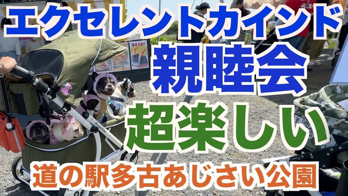出身ブリーダーさんの親睦会 【 フレンチブルドッグ french_bulldog 】 エクセレントカインド親睦会