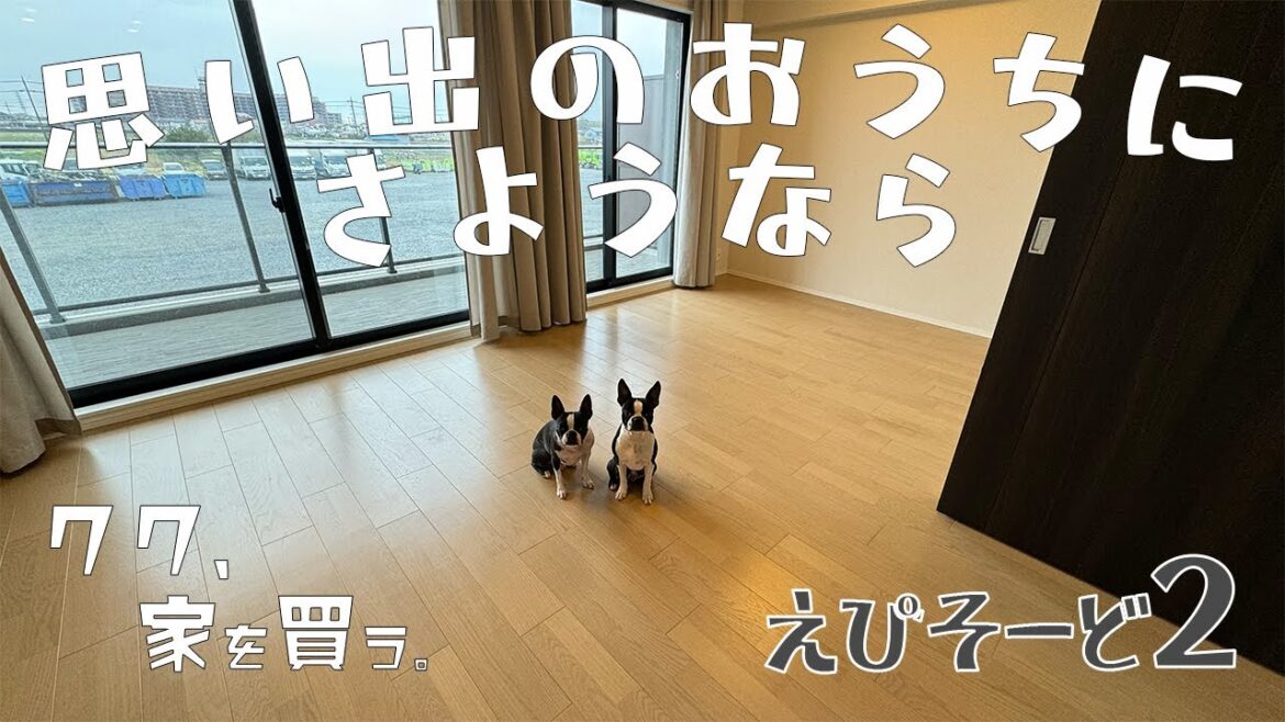 【ボストンテリア】クク家を買う🏠えぴそーど2