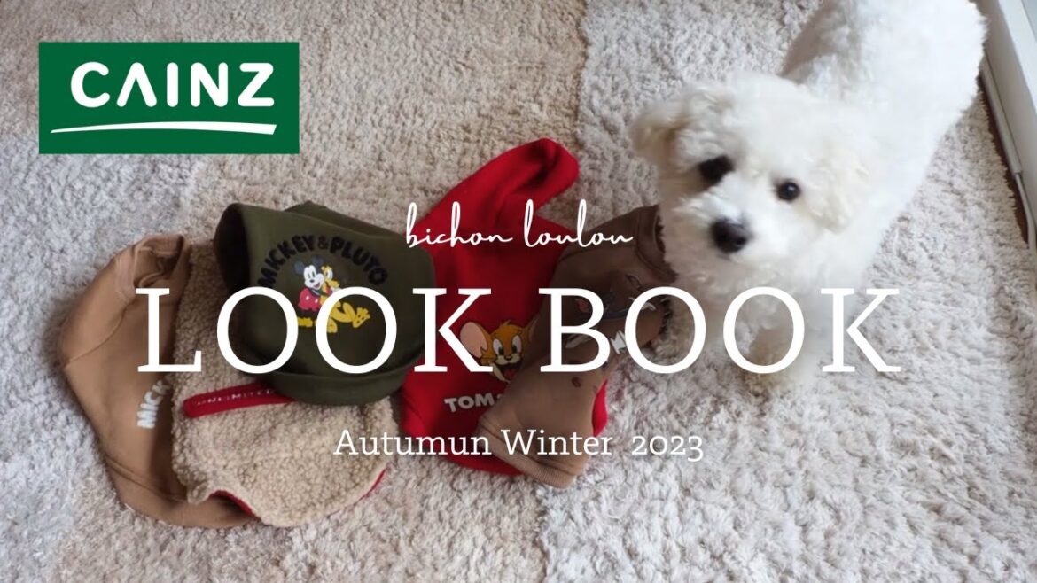 【LOOK BOOK】カインズ秋冬犬の服が可愛いすぎる🐶！！5着をご紹介🌟
