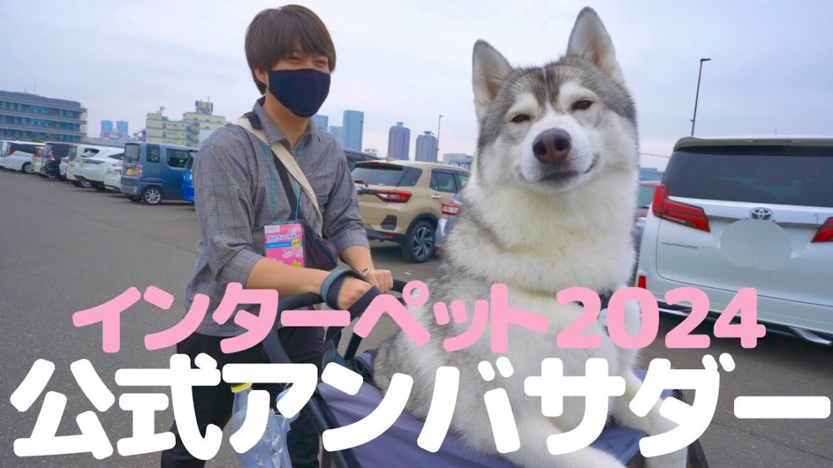 公式アンバサダーであることを忘れ、誰よりもイベントを楽しむ愛犬がこちらですw