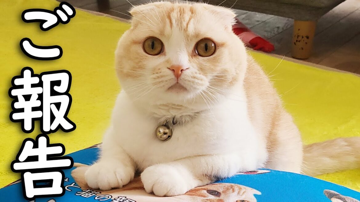 みなさまにご報告があります...