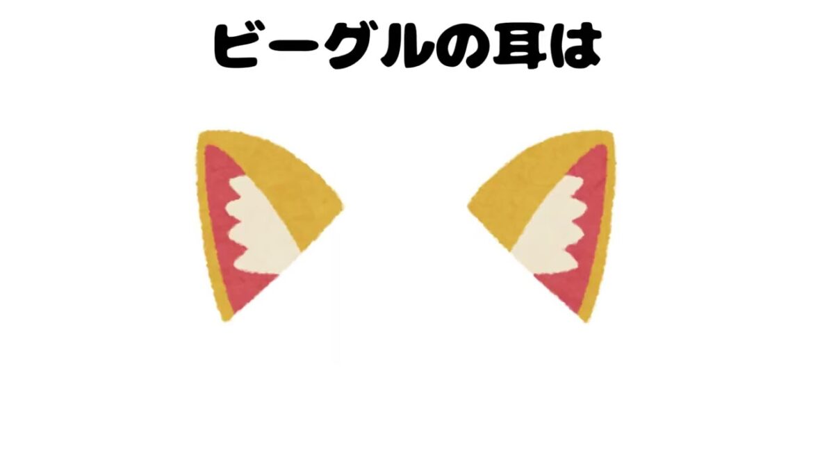 【驚愕】ほとんどの人が知らない！ビーグル犬の隠された秘密と意外な事実【第2弾】