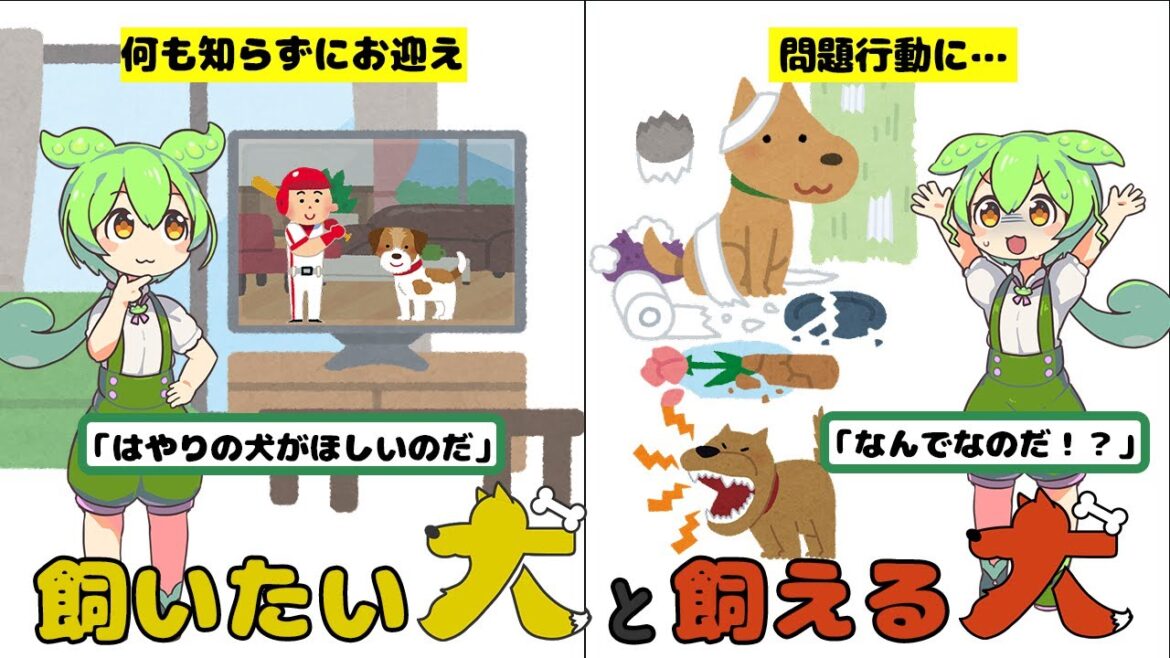 コーイケルホンディエから見る「飼いたい犬」と「飼える犬」【ずんだもん＆ゆっくり解説】
