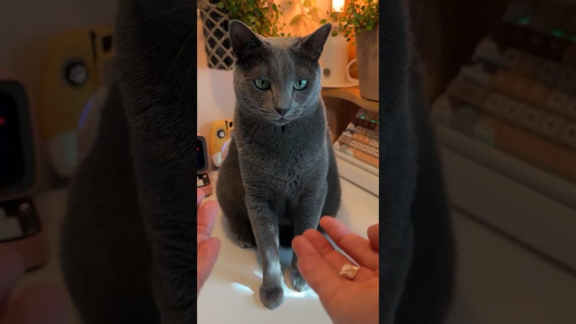 천천히 시작하여 빠르게