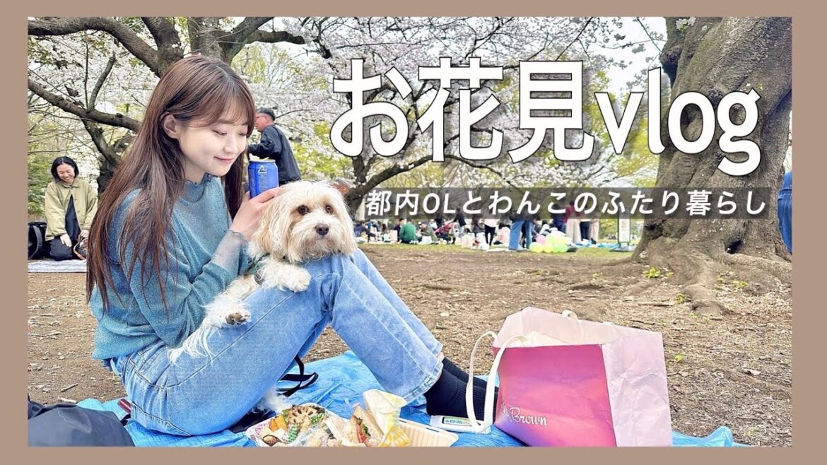 【代々木公園】今年も大満足の20代飼い主とワンコ様のお花見vlog🐕🌸
