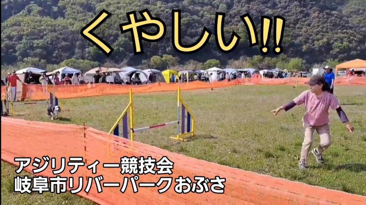 アジリティー競技会/岐阜市リバーパークおぶさ【ボーダーコリー】