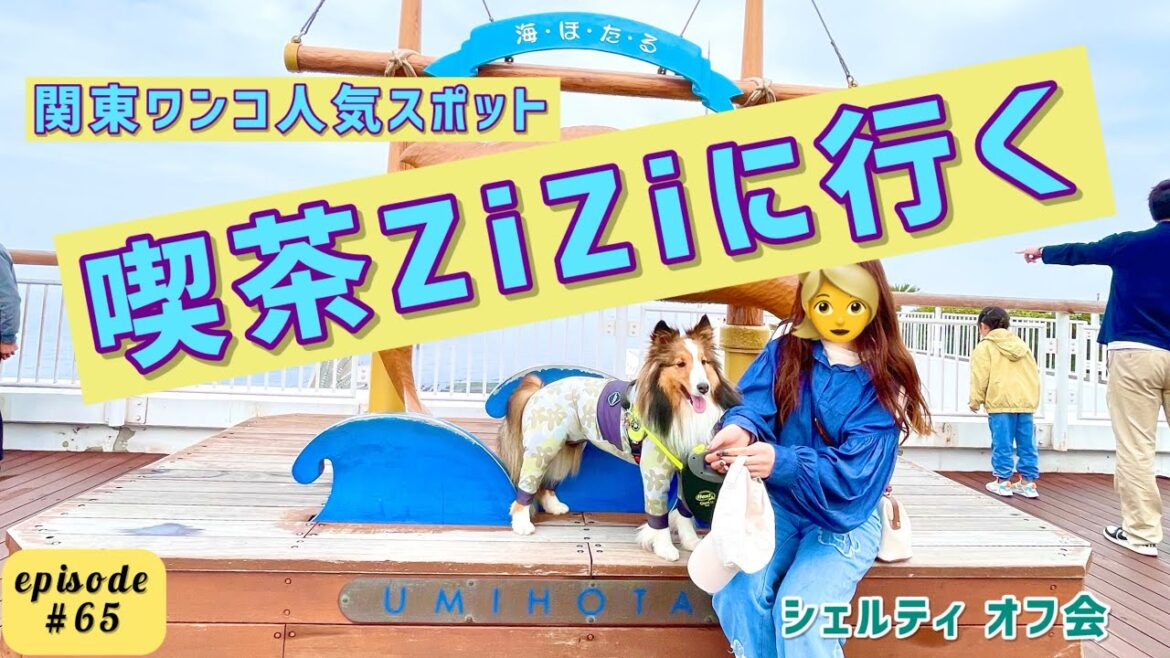 【喫茶ZiZi】関東ワンコ界☆人気スポットでシェルティOFF会♪ 【喫茶ZiZi】関東ワンコ界☆人気スポットでシェルティOFF会♪