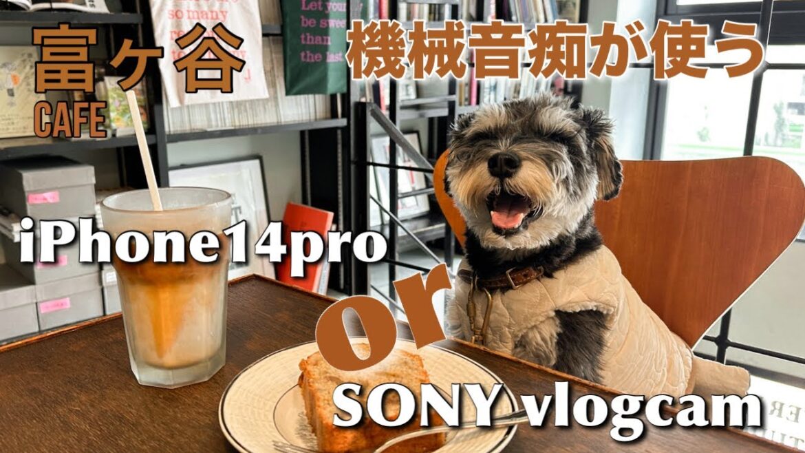 【富ヶ谷カフェ】海外っぽカフェでiPhone14proとSONY ZV-E10 のVLOGカメラ比較してみた！！