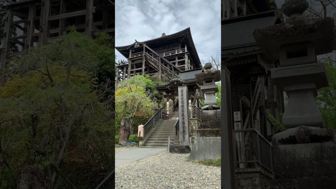 愛犬と笠森観音 #shorts #日本スピッツ#千葉 #笠森寺