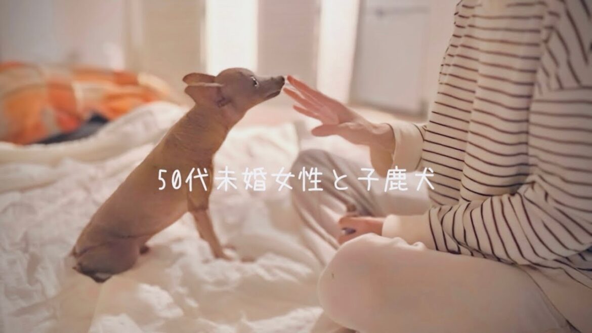 50代、未婚、子なし。かけがえのない息子と幸せな時間を永遠に過ごす休日【ミニピン】 50代、未婚、子なし。かけがえのない息子と幸せな時間を永遠に過ごす休日【ミニピン】