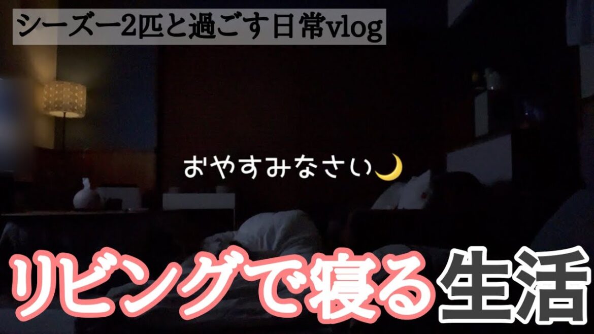 [シーズー多頭飼い]ワンコと私、リビングで寝ることにした