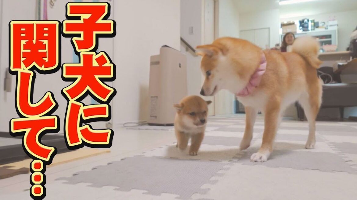 みなさんに、お伝えしたいことがあります。