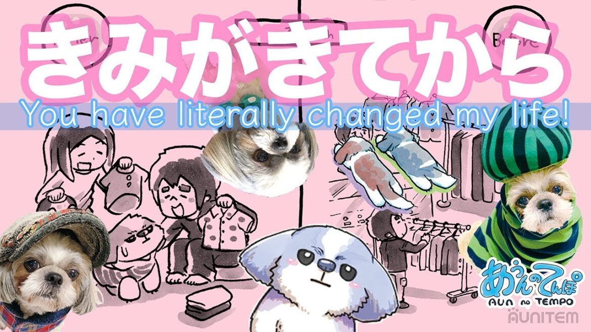 犬を家族にむかえるとこうなる【シーズーあうんのてんぽ】