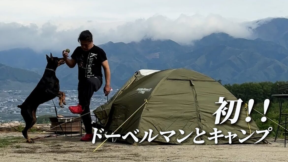 初めてパパと2人だけで出掛けるドーベルマン【予告編】