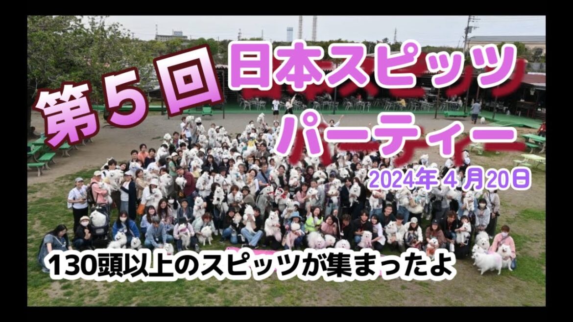 第5回_日本スピッツパーティー@神門村喫茶ZIZI(2024年4月20日) #日本スピッツ #オフ会 第5回_日本スピッツパーティー@神門村喫茶ZIZI(2024年4月20日) #日本スピッツ #オフ会