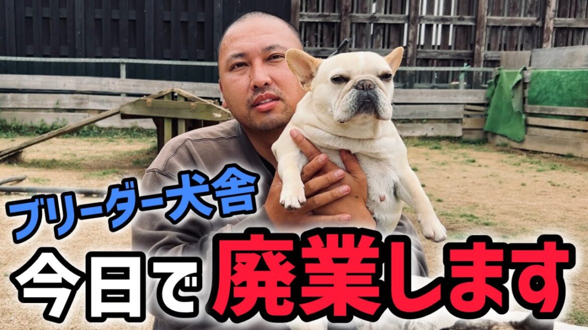 ドッグブリーダー最後の日に何を思う ドッグブリーダー最後の日に何を思う