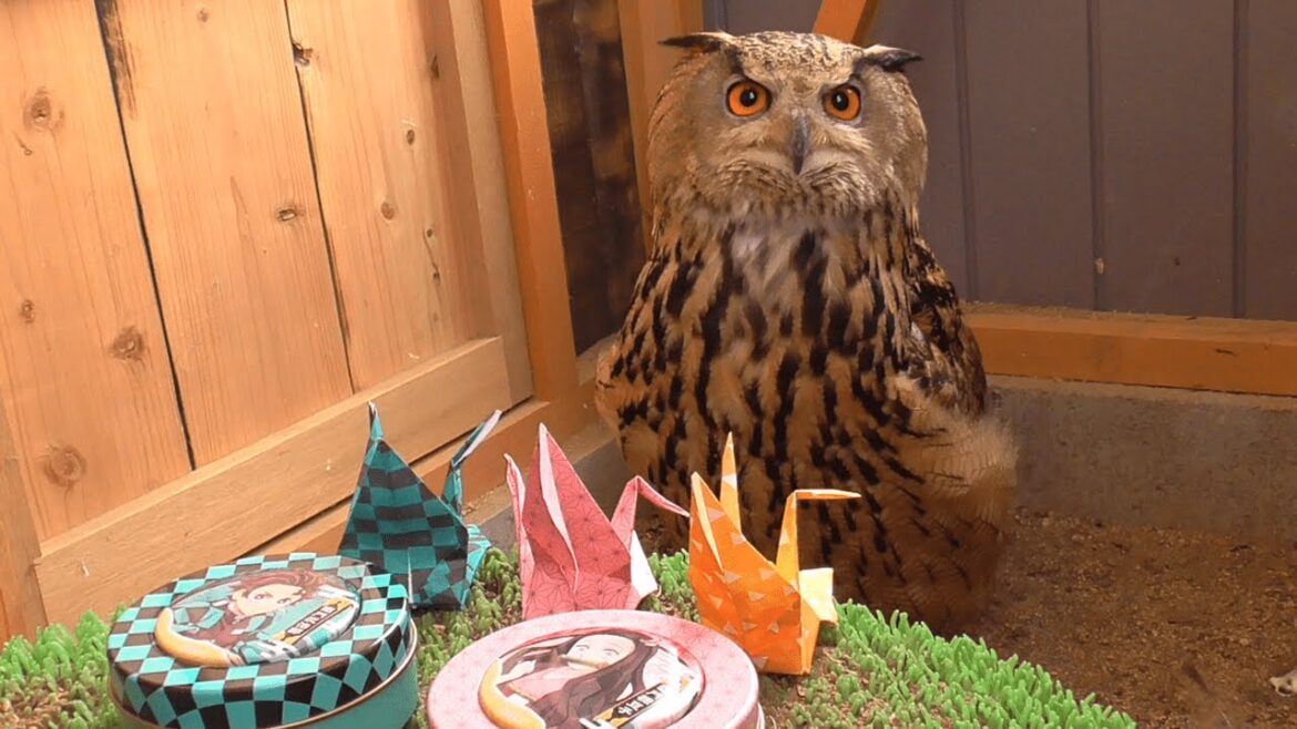 折り紙の鶴とベンガルワシミミズクとメンフクロウ【鬼滅の刃】