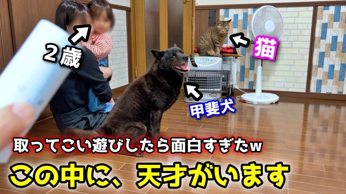 取ってこい遊びしたら面白すぎたw【この中に、天才がいます】