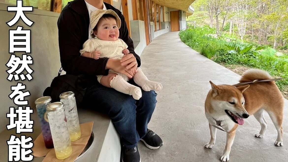 赤ちゃん＆柴犬とお出かけ、初めての大自然にご機嫌な赤ちゃん