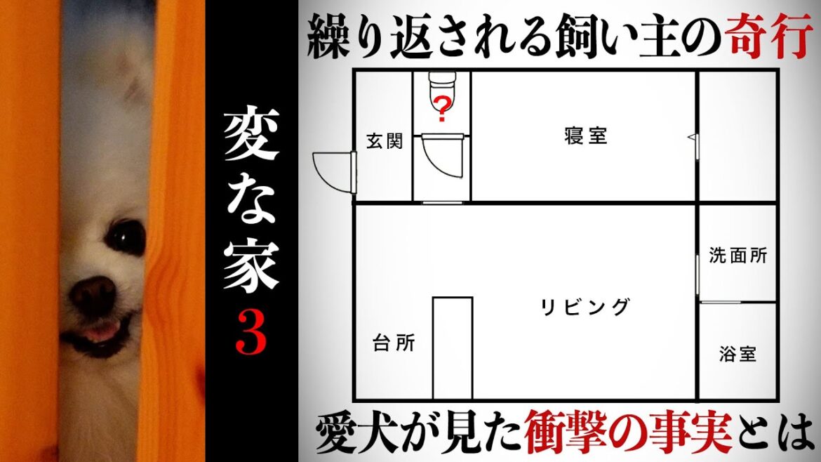 【変な家３】水の流れる部屋で飼い主の奇行を目撃したポメラニアン