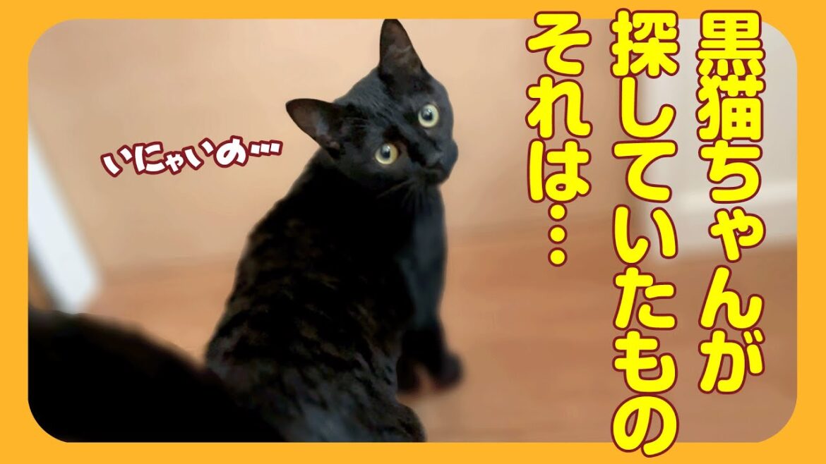 なづきの様子がおかしい…何かを探している？　そして驚きの行動に！そうかこれはきっと…