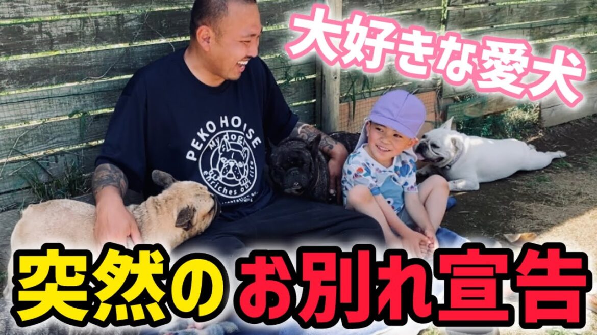 子供に愛犬とお別れすることを伝えました