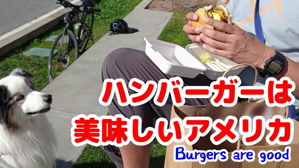 パパのウィンドショッピングに付き合う愛犬【オーストラリアンシェパード】 パパのウィンドショッピングに付き合う愛犬【オーストラリアンシェパード】