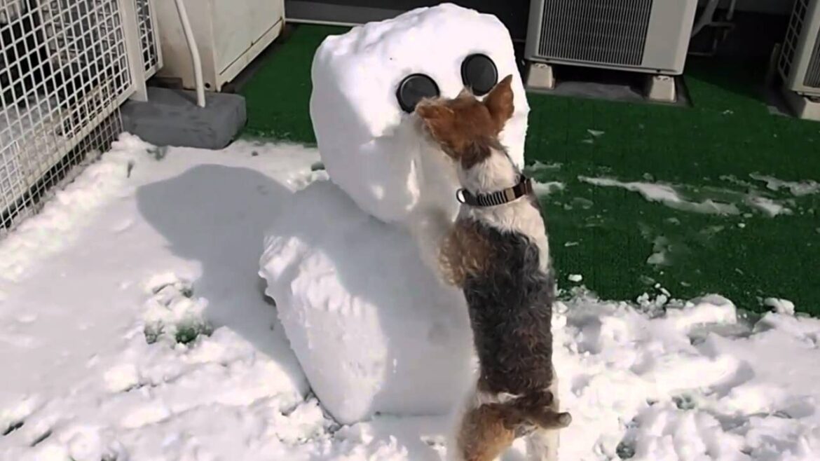 I can't get no satisfaction