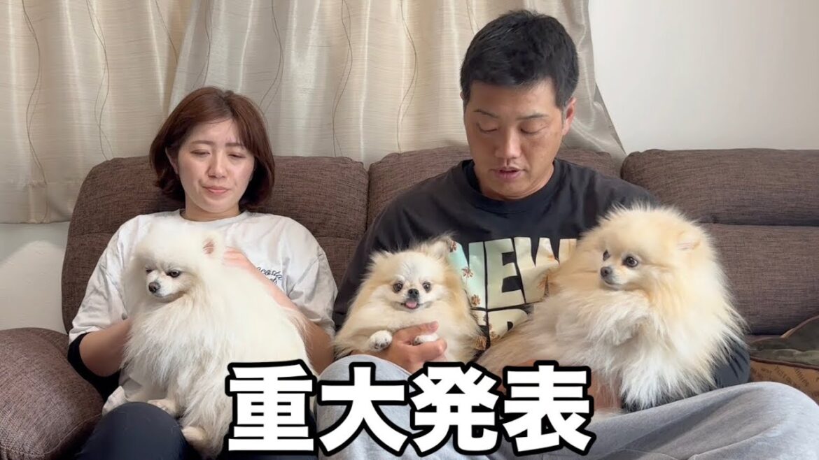 批判的なコメントに対して重大な決断をいたしました