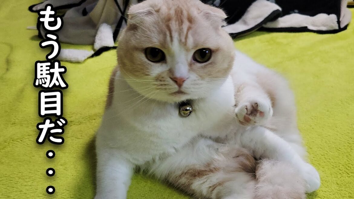物価高騰で苦しいです...