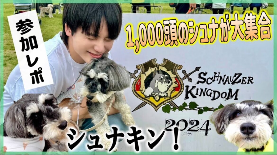 【シュナウザーキングダム 2024】イバライドに1,000頭が大集合で愛犬も大興奮レポ⭐️