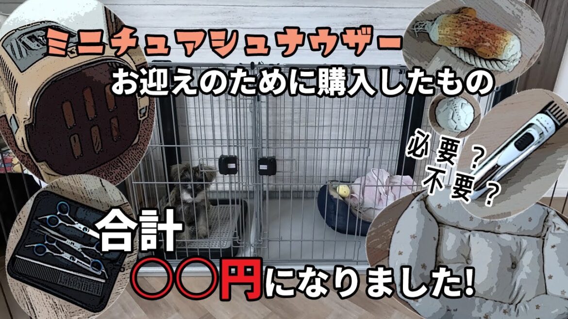 子犬をお迎えする準備費用 これだけ必要です【ミニチュアシュナウザー】