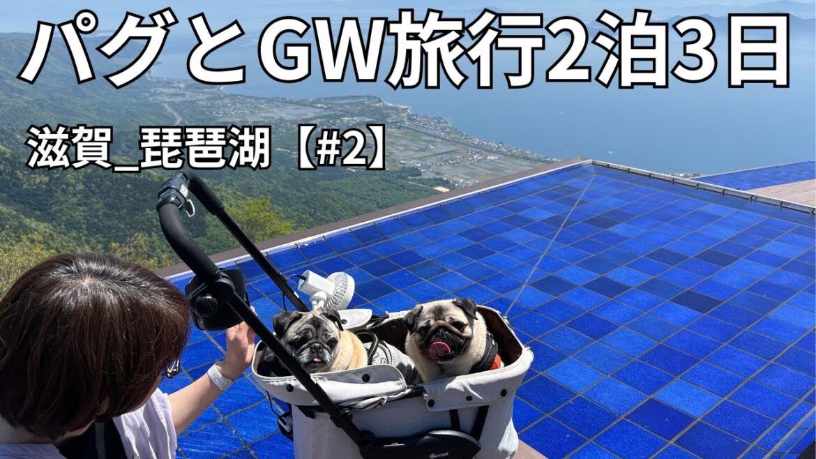 パグとＧＷ旅行２泊３日　滋賀_琵琶湖【#2】