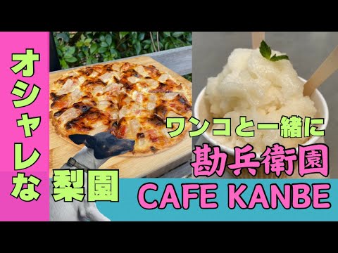 『日本テリア』のつむぎも大好き!インスタ映え間違いなしのお洒落な梨園『勘兵衛園 / CAFE KANBE』 『日本テリア』のつむぎも大好き!インスタ映え間違いなしのお洒落な梨園『勘兵衛園 / CAFE KANBE』