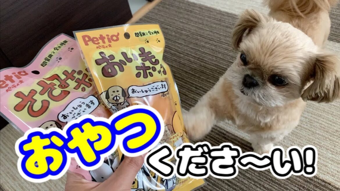【犬 おやつ】ペロペロキャンディー!? ペティオの間食用おやつ チワワ×シーズー