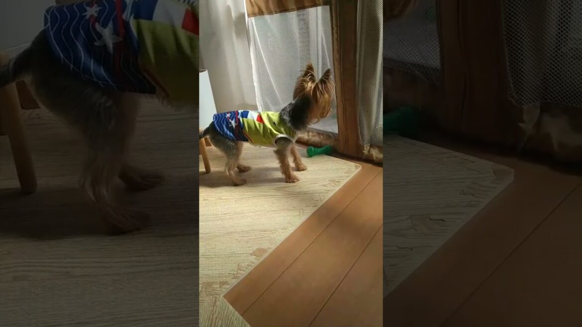 ここが好きなの❗️