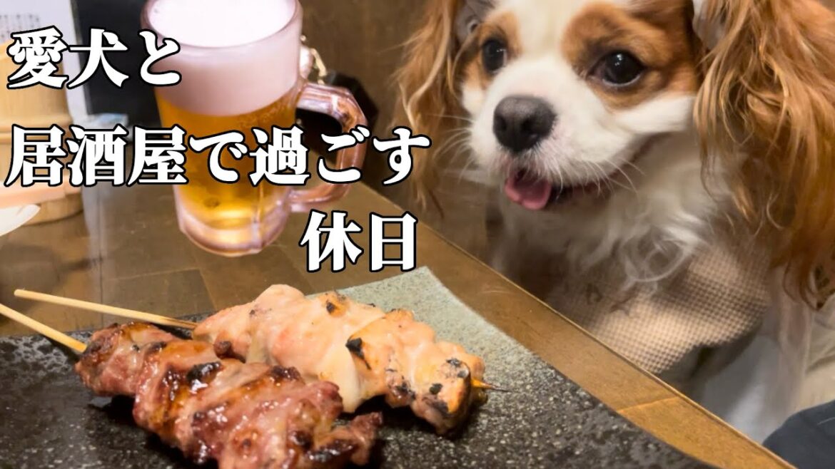 キャバリアのイベントに行けなかったので大好きな居酒屋に行ったら最高でした…