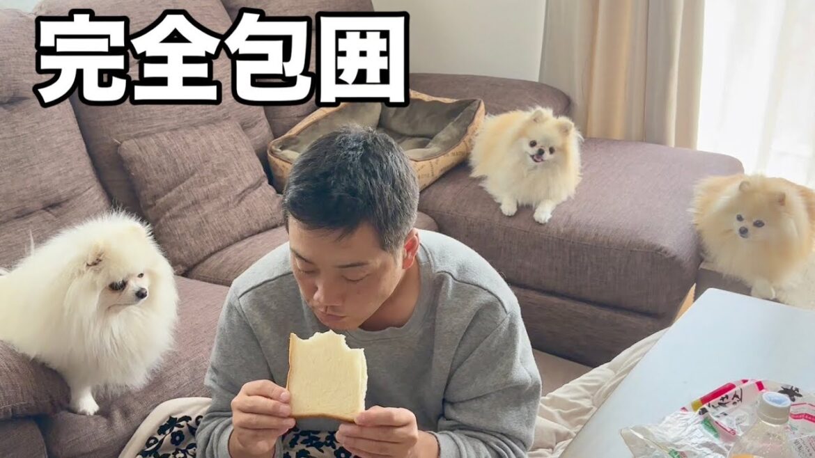 まるでオヤジ狩りに遭ってる気分です