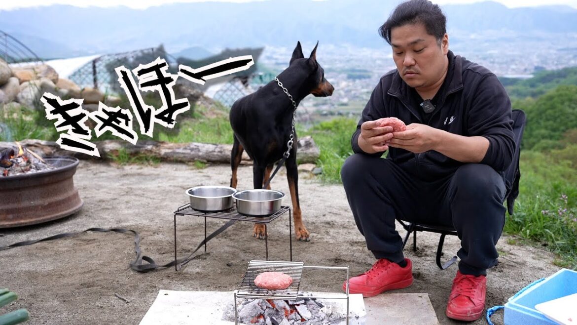 野生動物に反応する番犬ドーベルマン【ソロキャンプ】