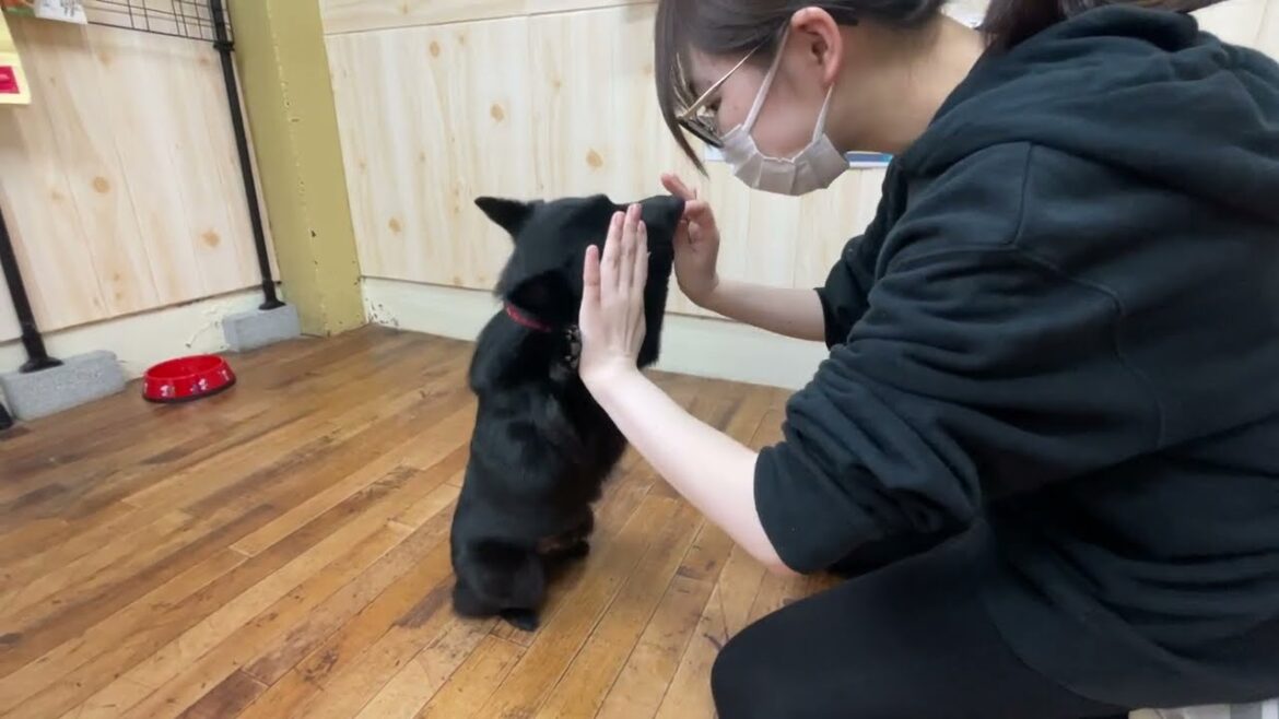 スキッパーキの”オセルくん”と”やったね”に挑戦！