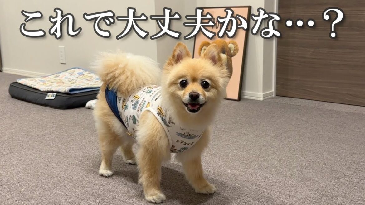 病気になった愛犬との生活環境を見直しました！